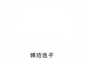 多人对话气泡围成圆圈的群聊话题封面